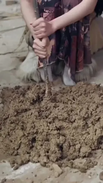 เลี้ยงลูกในโลกของอสูร