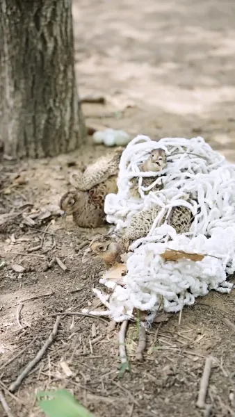 ข้านี่แหละผู้ชนะในปีอดอยาก