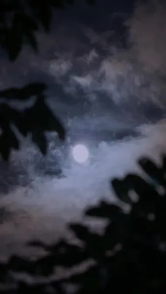 Kiss Me with Unspoken Love