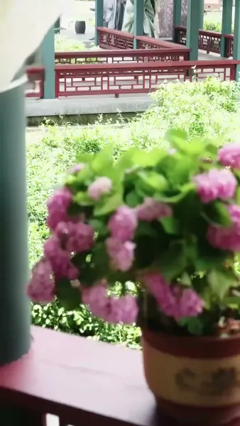 ทั้งวังแอบฟังหัวใจฉันถูกไล่ล่ารัก