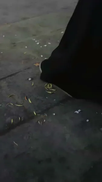 ทั้งวังแอบฟังหัวใจฉันถูกไล่ล่ารัก