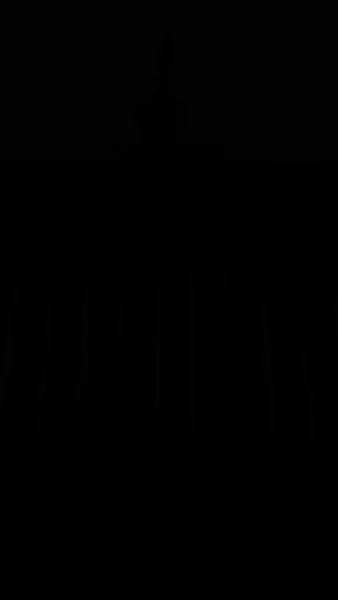 ทั้งวังแอบฟังหัวใจฉันถูกไล่ล่ารัก