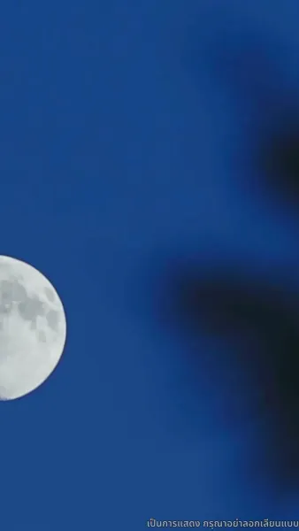 ชิงตะวันจันทร์คว้าดาว