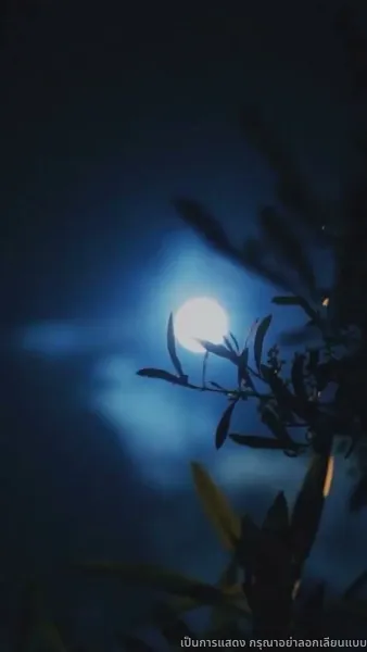 ชิงตะวันจันทร์คว้าดาว