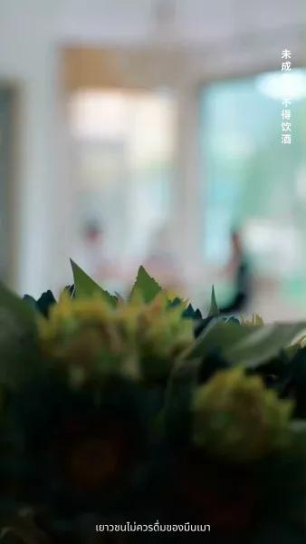 สายน้ำไม่ไหลกลับ(พากย์ไทย)