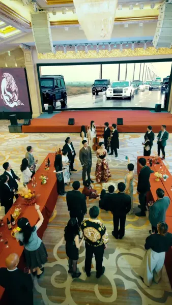 หงส์ผงาดเหนือชะตา