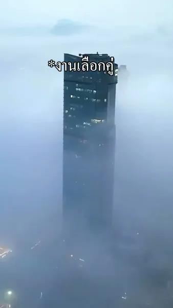 หงส์ผงาดเหนือชะตา