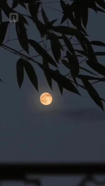 สายลมที่หวนกลับ