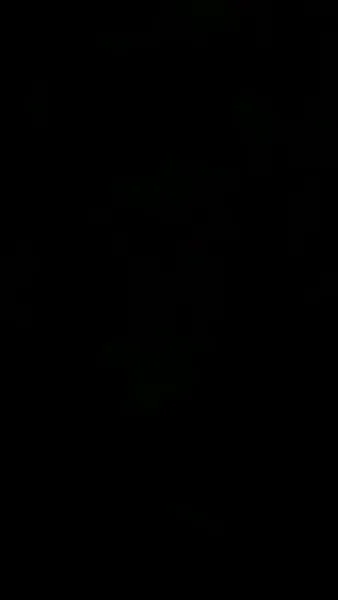 บอสของฉันกลายมาเป็นหวานใจ