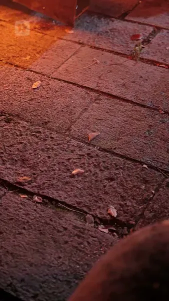 รักวุ่น พิชิตใจผู้ว่า