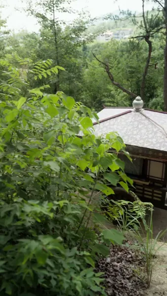 วาสนารักชั่วข้ามคืนของท่านอ๋องตาบอด