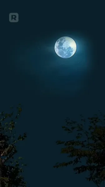 วาสนารักชั่วข้ามคืนของท่านอ๋องตาบอด