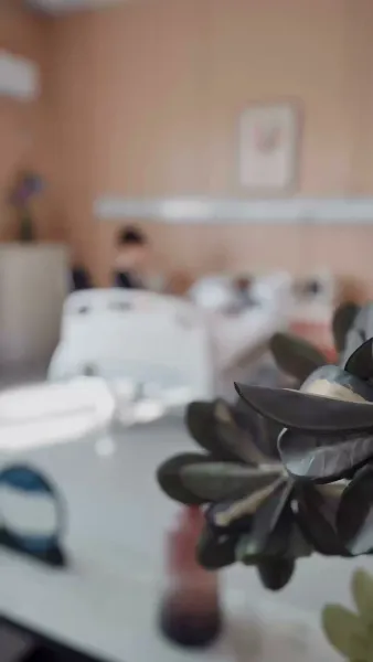 เดิมพันแค้น ใจเผลอรัก