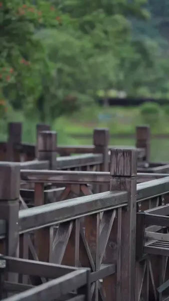 เดิมพันแค้น ใจเผลอรัก