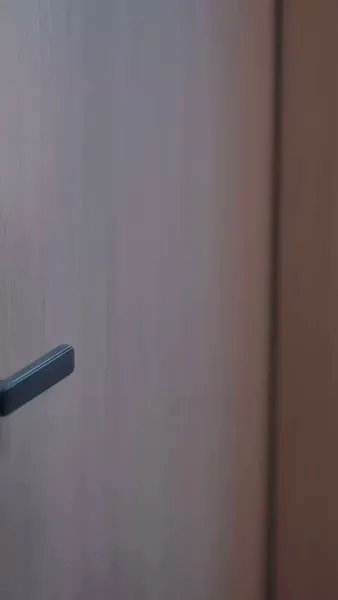 เดิมพันแค้น ใจเผลอรัก