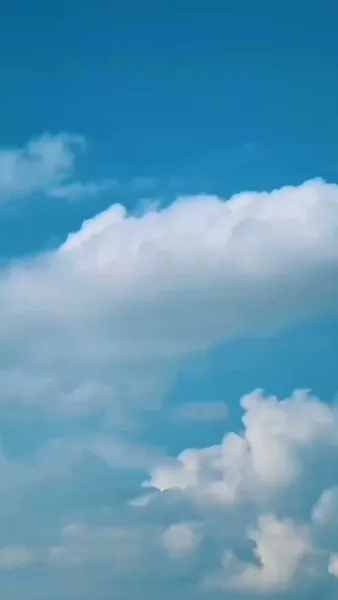 เดิมพันแค้น ใจเผลอรัก