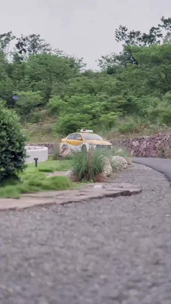 เดิมพันแค้น ใจเผลอรัก