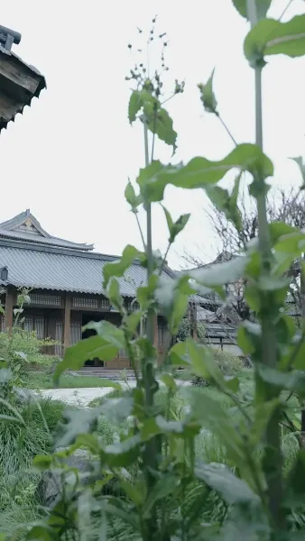 [พากย์ไทย]ย้อนกลับไปโบราณเป็นขันที