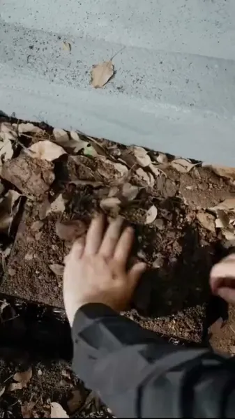  คุณลู่ หยุดทำร้ายเถอะ เมียฝังไปแล้ว