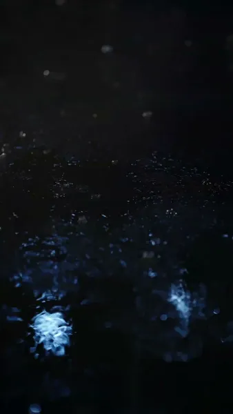 [พากย์ไทย]สามีที่ดี คือสามีใหม่