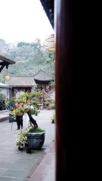 สาวเรียบร้อย