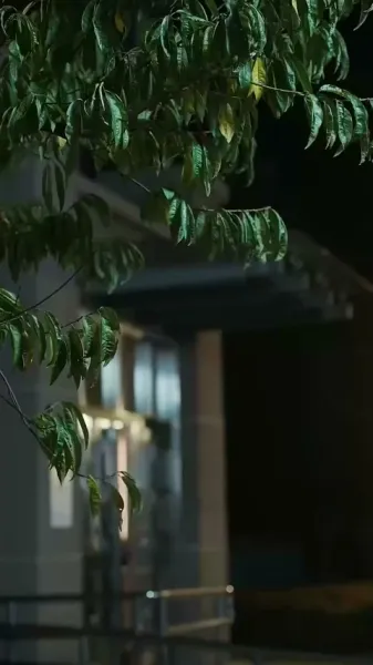 ส่งต่อความฝันผ่านลูกน้อย