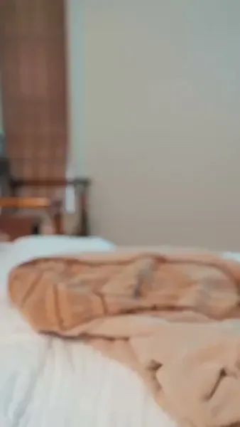 [พากย์ไทย]สาวใช้หน้าเนื้อ ใจเสือ