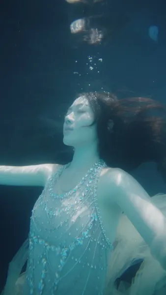 คืนเข้ามา แตงไม้ฤดูใบไม้ผลิดำลง