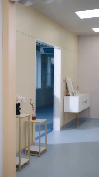 คืนเข้ามา แตงไม้ฤดูใบไม้ผลิดำลง