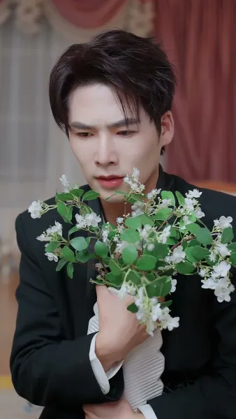 คืนเข้ามา แตงไม้ฤดูใบไม้ผลิดำลง