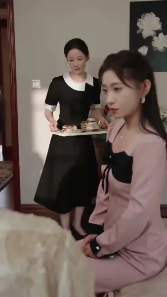 คุณแม่บ้านซ่อนแค้น