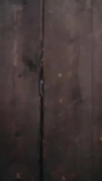 ฟ้าลิขิตมาให้เจ้าพ่อทำนายชะตา