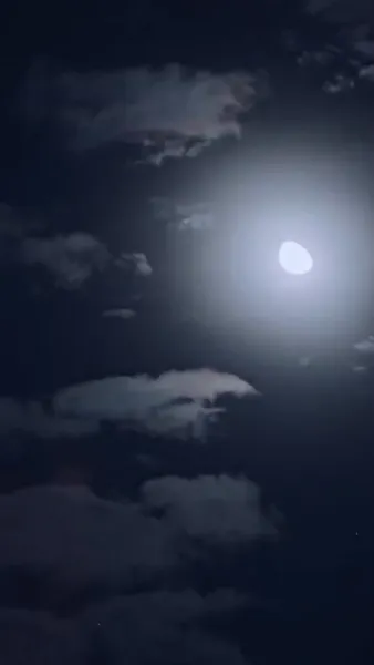 ฟ้าลิขิตมาให้เจ้าพ่อทำนายชะตา