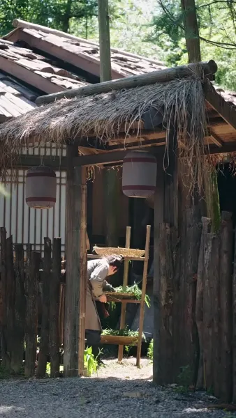 ฟ้าลิขิตมาให้เจ้าพ่อทำนายชะตา