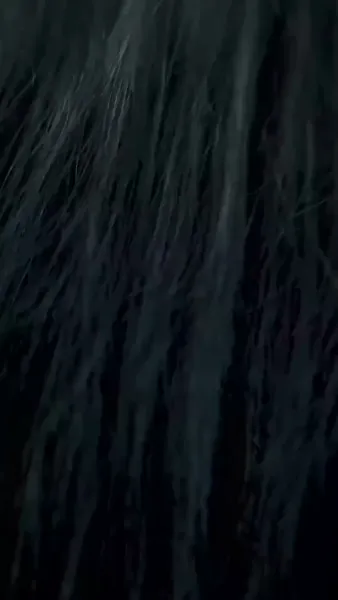 ร้อยร้าวผูกพันรัก(พากย์ไทย)