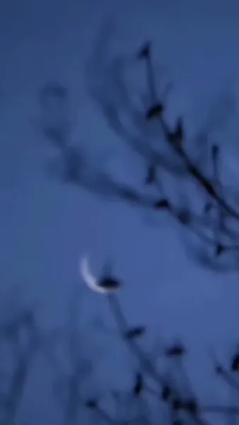 (พากย์เสียง)จอมยุทธ์ผู้พลิกชะตา