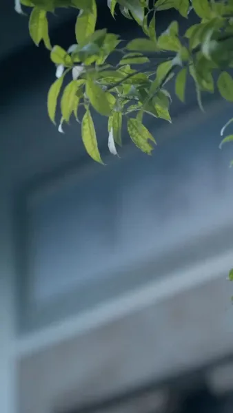 (พากย์เสียง)จอมยุทธ์ผู้พลิกชะตา