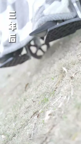 แค้นรัก สลับชะตา