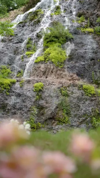 รักนี้ไม่มีรีเทิร์น