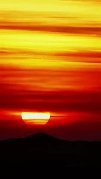 สามีสายลับของผม