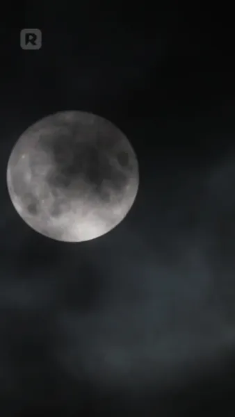 เกิดใหม่เพื่อรักคนที่ใช่