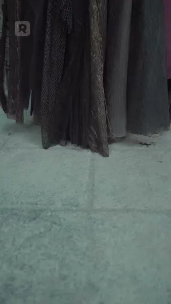 พลังฟีนิกซ์ในตัวฉัน