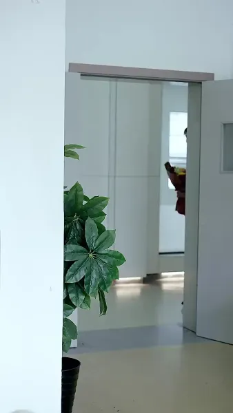 เจ้าสาวแทนของฟู่ชาว