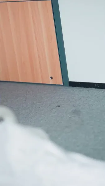 สู่เส้นทางผลิบาน