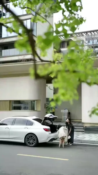 รอยแค้นแรงปรารถนา