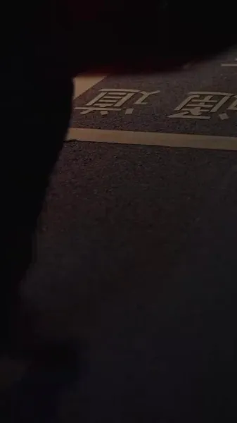 ตามล่าความรักสุดหัวใจ