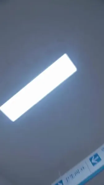 ตามล่าความรักสุดหัวใจ