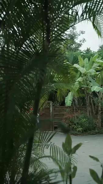 แสงสว่างที่ปลายทาง