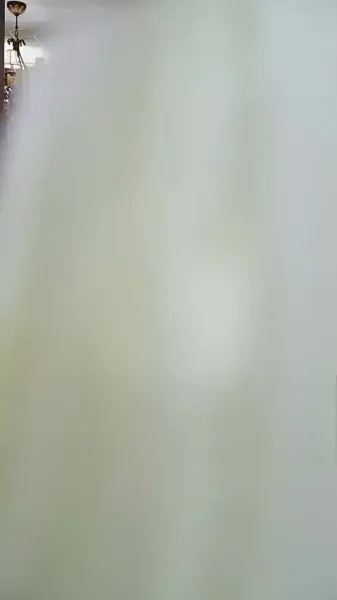 หลังแต่งงานแบบสายฟ้าแลบ: ภรรยาที่ไม่ยอมตามกฎ