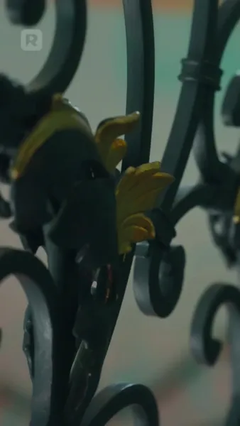 พิทักษ์หัวใจในวังวนลวง